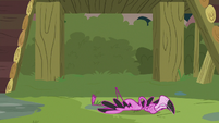 Scout the flamingo falls on the ground S9E18