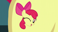 So we put an Apple Bloom in your Apple Bloom!