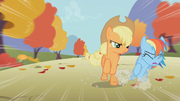 Applejack hits Rainbow Dash S01E13