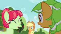 Applejack looking at the two mares S3E08