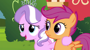 Diamond Tiara with Scootaloo S4E15