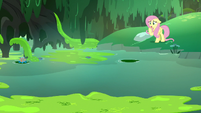 Fluttershy looking out at the swamp S7E20