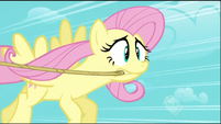 Fluttershy realizes she has to give it her all S2E02