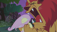 Manticore roaring at Fluttershy S1E02