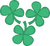 Three four-leaf clovers