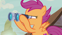 Scootaloo looks for Feather Bangs through binoculars S7E8