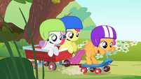 Scootaloo on her scooter pulling Apple Bloom and Sweetie Belle on a wagon S1E23
