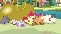 Apple Bloom 'Maybe we'll get our cutie marks in stupidest ideas of all time' S3E04