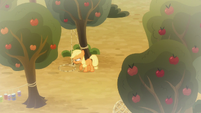 Applejack checking her snare trap S9E10