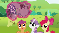 The Cutie Mark Crusaders have mixed reactions to Smarty Pants