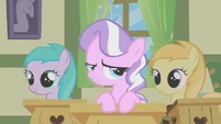 Diamond Tiara doesn't like S1E12