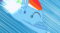 Filly Rainbow Dash's flank shining S1E23