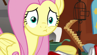 Fluttershy after being smacked S2E19