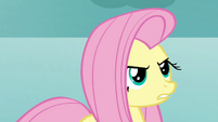 Fluttershy keeps to her promise S03E10