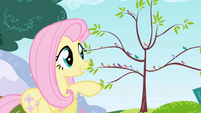Fluttershy smiling at the birds S1E1
