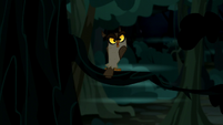 Night owl in the Appleloosa woods S5E6