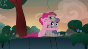 Pinkie Pie hugging Maud and Mudbriar S8E3