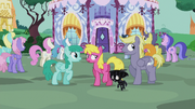 Ponies outside Carousel Boutique S5E9