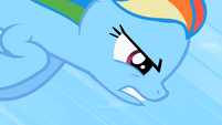 Rainbow Dash strain speed S2E8