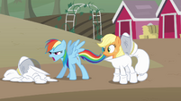 Rainbow and Applejack come up another dare S4E03