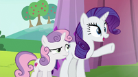 Rarity "isn't it wonderful?" S6E14