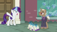 Rarity -emergency at the boutique- S8E4