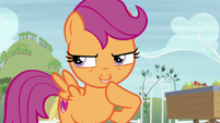 Scootaloo "there can be only be one reason" S7E8