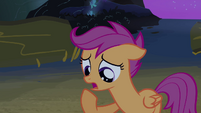 Scootaloo 'but we haven't' S3E06