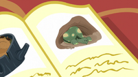 An illustration of a tortoise waking up from hibernation S5E5