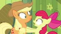 Apple Bloom freaking out in front of Applejack S05E04