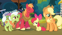 Applejack '...fallin' apart like this' S4E09