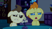 Baby Cakes wondering what Pinkie is doing S2E13