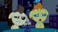 Baby Cakes wondering what Pinkie is doing S2E13