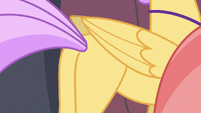 Close-up on Hippogriff's flank S8E6