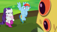 Dash and Rarity's faces twist in disgust S8E17