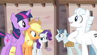 Rarity looking genuinely uncomfortable