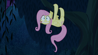 Fluttershy trembling in the treetops S6E15