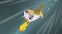 Gilda dives to Rainbow Dash's rescue S5E8