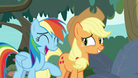 Rainbow Dash "we knew that" S8E9