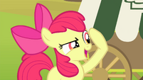 Apple Bloom "I know it!" S4E17