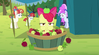Apple Bloom in an apple bucket S5E17