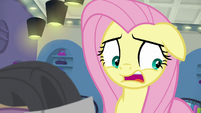 Fluttershy "well, I'm not sure" S8E4