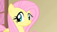 Fluttershy.