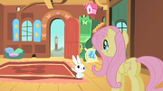 Fluttershy is late S1E22