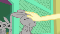 Fluttershy rubbing Mr. Bouncy's head EGSB