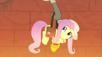 Fluttershy saved by Dr. Caballeron S9E21