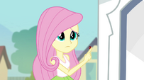 Fluttershy with ladybug EG2