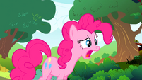 Pinkie Pie I'm not ruining S01E10