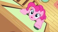 Pinkie Pie climbing up the wall S4E14
