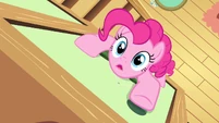 Spider-Pinkie! Spider-Pinkie! Does whatever a Spider-Pinkie does!